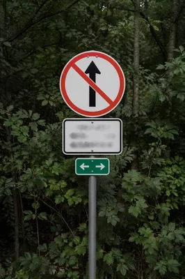 Red Direction Warning Sign in Woodland