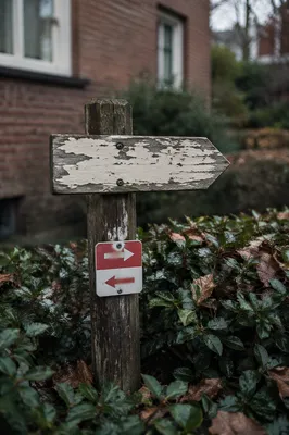 Weathered Arrow Sign on Quiet Garden Path