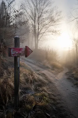 Red Arrow Sign on Misty Path