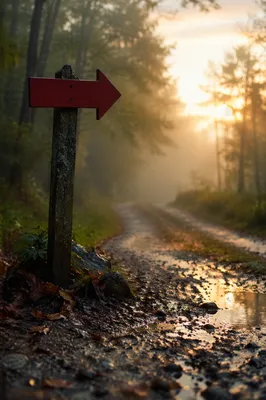 Red Arrow Sign Toward Morning Light