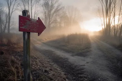 Weathered Red Arrow Toward Misty Dawn Path