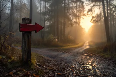 Red Arrow Sign Toward Morning Light