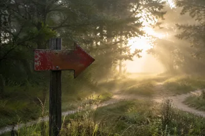 Red Arrow Sign Toward Hopeful Path