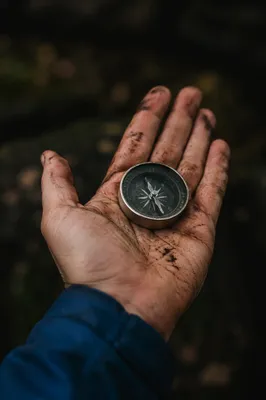 Hand Holding Compass in Moody Forest