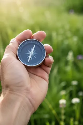 Hand Holding Pocket Compass in Meadow