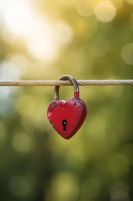 Red Heart Padlock on Braided Rope