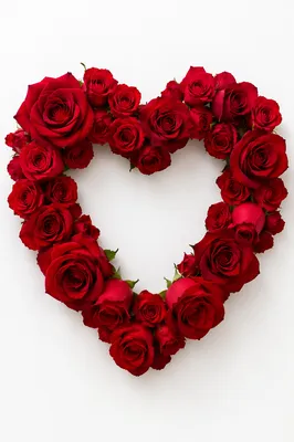 Red Rose Heart Wreath on White