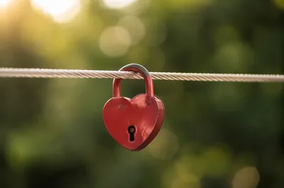 Red Heart Padlock on Braided Cable