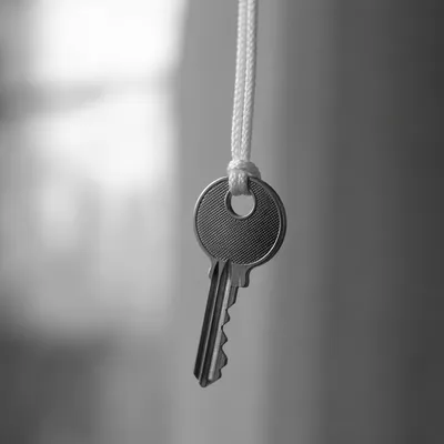 Minimal Metal Key Security Close-Up