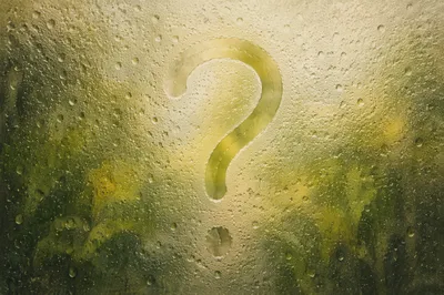 Condensation Question Mark on Misty Glass