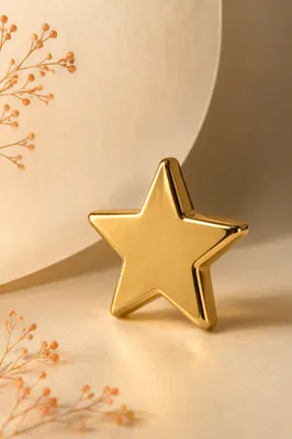 Shiny Gold Star Icon on Cream