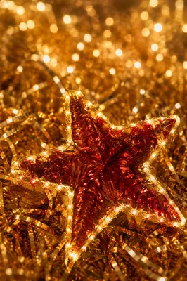 Radiant Gold Lit Red Star Decor