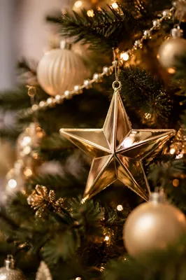 Shiny Gold Star Ornament on Evergreen