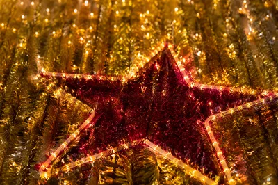Ruby Red Star with Golden Lights