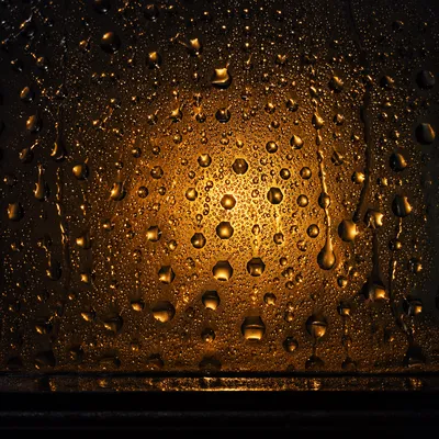 Golden Water Droplets on Dark Glass