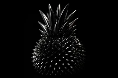 Spiky Black Ferrofluid Abstract Sculpture