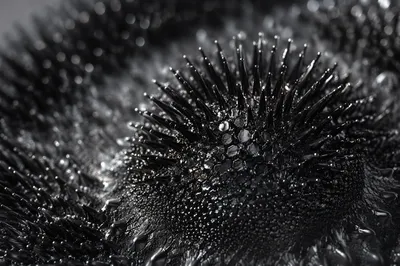 Abstract Black Ferrofluid Spiky Macro Sculpture