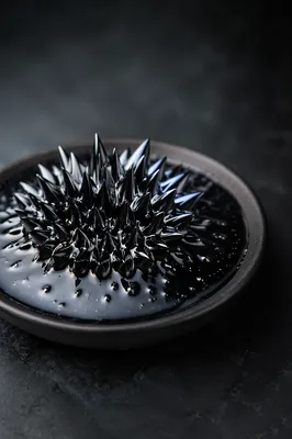 Photorealistic Ferrofluid Spiky Black Sculpture
