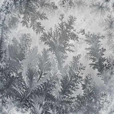 Abstract Frost Patterns on Winter Glass