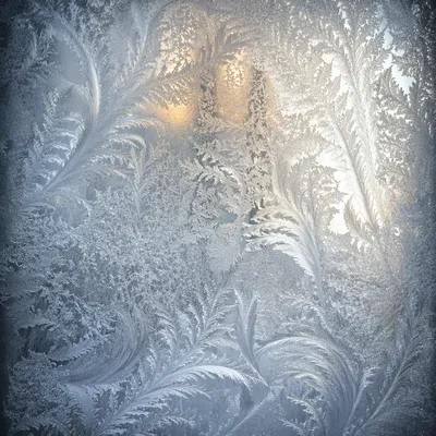 Winter Frost Patterns on Glass Window