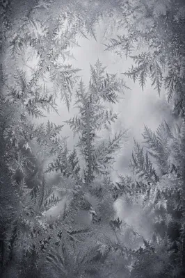 Abstract Frost Patterns on Glass Window