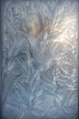 Abstract Frost Patterns on Winter Glass