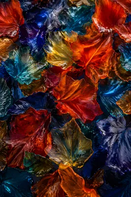 Molten Glass Autumn Leaf Abstract Overhead