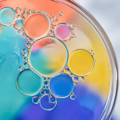 Colorful Oil and Water Bubble Macro