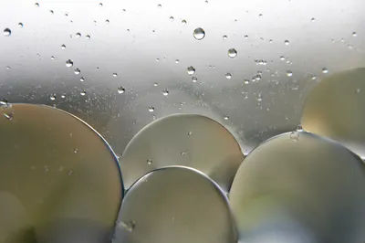 Dreamy Oil and Water Bubble Macro