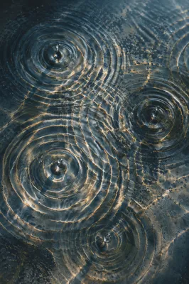Meditative Wave Interference on Water Surface