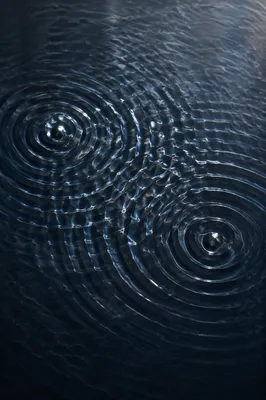 Meditative Wave Interference on Dark Water