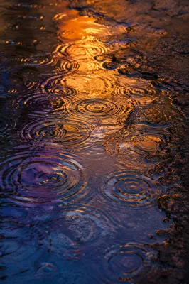 Rain Ripple Interference on Wet Pavement