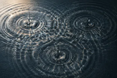 Meditative Wave Interference on Water Surface