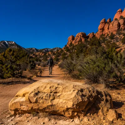 Dog and Owner on Desert Park Trail