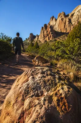 Dog and Owner Walking Desert Park Trail
