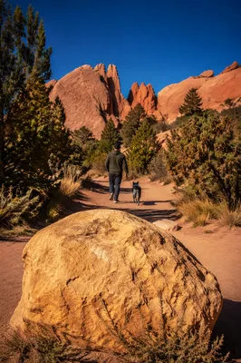 Peaceful Dog Walk on Desert Trail