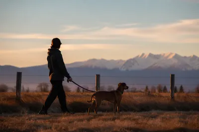 Dog and Owner Walking at Dusk