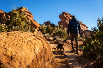 Dog and Owner Walking Desert Park Trail