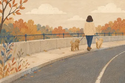Owner Walking Two Dogs at Sunset