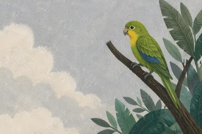 Colorful Tropical Parrot on Quiet Branch