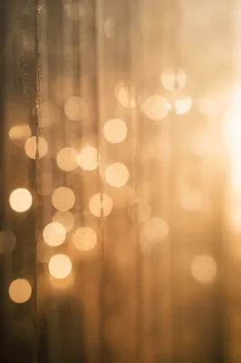 Warm Gold Cream Bokeh Background