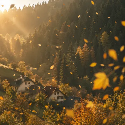 Golden Autumn Leaves Over Quiet Hillside