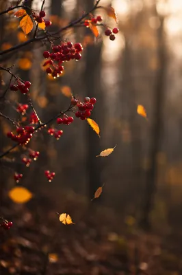 Golden Autumn Berries Woodland Background