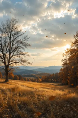 Golden Autumn Meadow With Falling Leaves