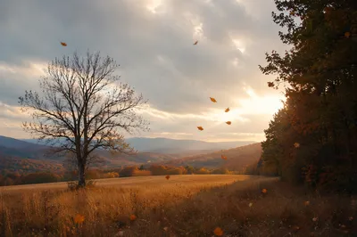 Golden Autumn Meadow with Falling Leaves