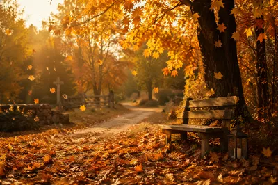 Golden Autumn Prayer Garden Path