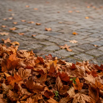 Golden Autumn Leaves Text Space Background