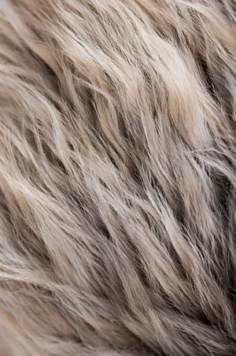 Warm Cream Brushed Wool Texture Background