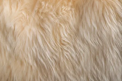 Warm Beige Faux Fur Texture Background