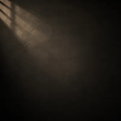 Dark Charcoal Wall with Soft Light